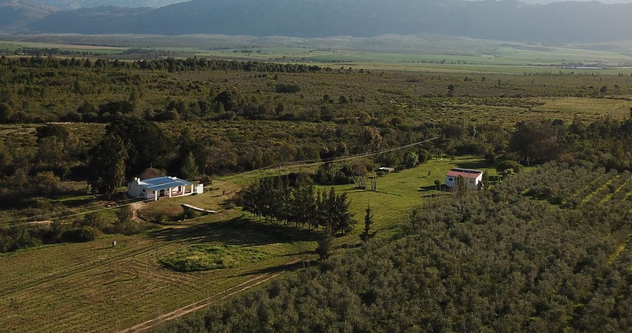 Fraaigelegen Farm - Home Of Adhara Evoo Tulbagh Exterior foto